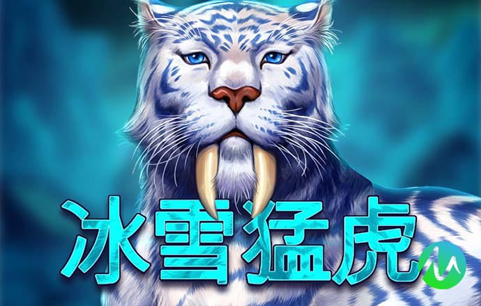 九州体育最新网站